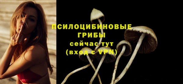 СК Алексеевка