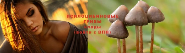меф Алексин