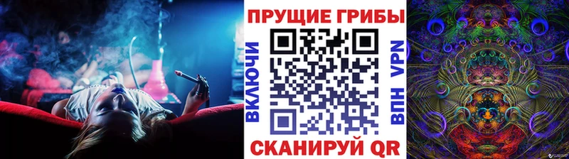дарнет шоп  Тверь  маркетплейс состав  Псилоцибиновые грибы Cubensis 